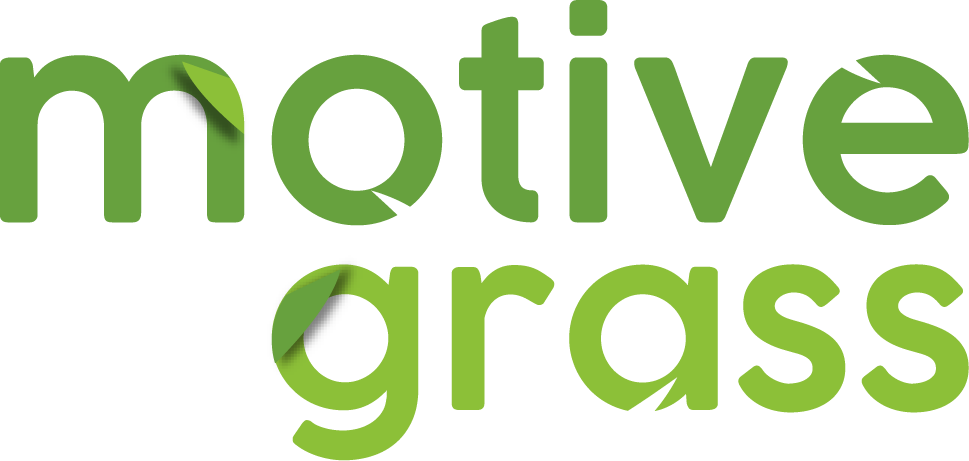 motive grass@3x